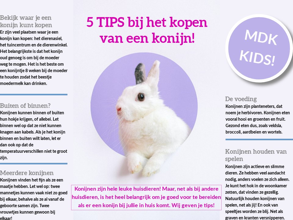 eetlust paniek Symptomen Vijf tips bij het kopen van een konijn - MDK Magazine najaar 2020
