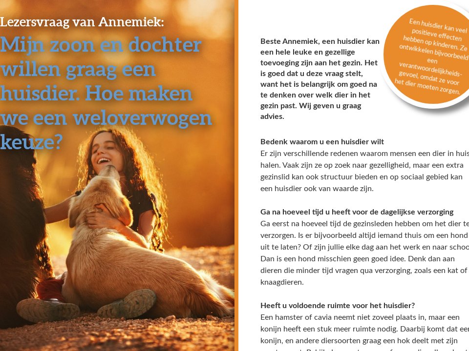 Een huisdier aanschaffen of niet? - MDK Magazine september 2021